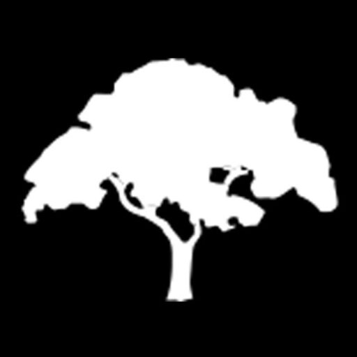 EDS Logo